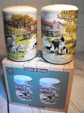 BORDER COLLIE GIFT CRUET SET PRESENT FARM SCENE BLACK WHITE SHEEPDOG AND SHEEP 