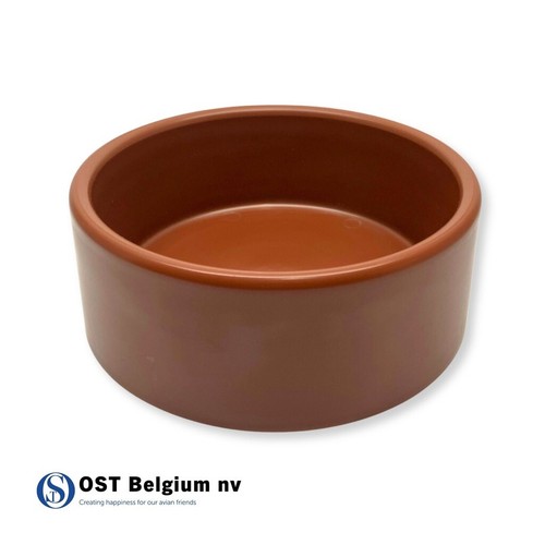 Terracotta pots with - and,