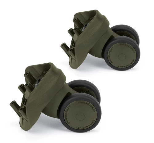 Briggs riley baseline - briggs,