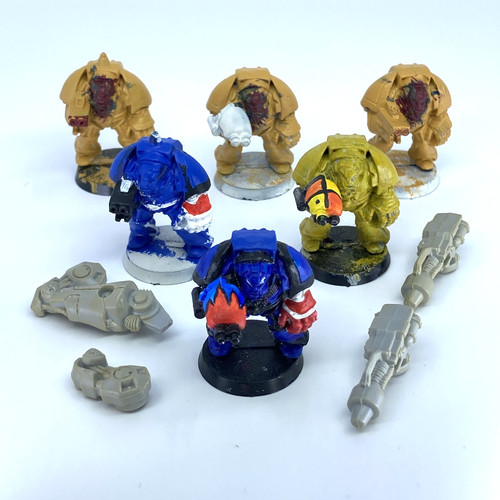 Space marines terminator - /,