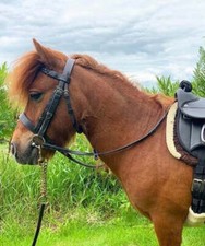 Hunter Bridle, Plaited Browband & Rubber Reins-M&M/Native/Shetland/Pony/Cob/XF