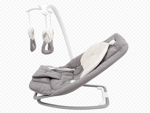 Joie meet dreamer rocker - meet,