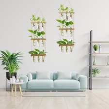 Wall Hanging Propagation