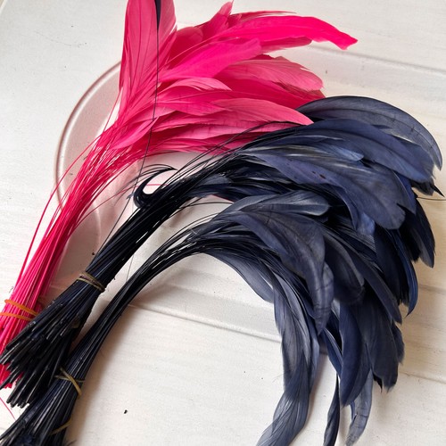 20cm 25cm coloured feathers - 20cm-25cm,