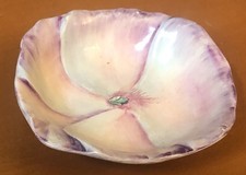 Royal Venton Ware Floretta