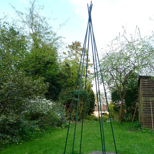 Gardenskill pea and bean - gardenskill,