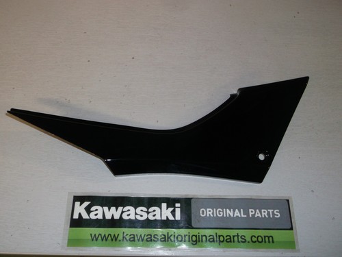 Genuine kawasaki ninja 300 - genuine,
