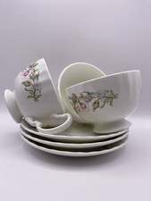 Aynsley Fone Bone China Wild