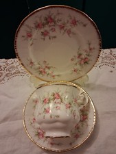 Paragon Victoriana Rose English Fine Bone China Tea Cup, Saucer & Side Plate