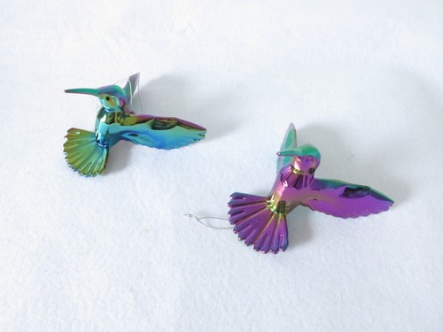 New bird iridescent - bird,