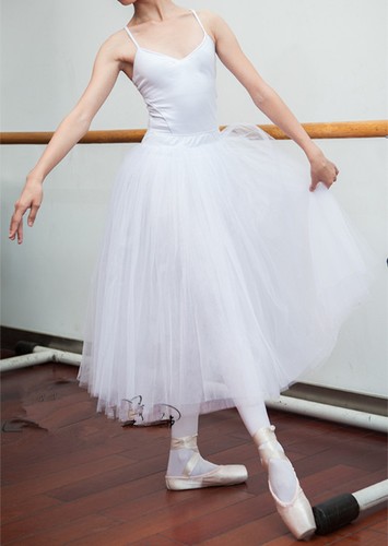 Adult professional ballet - adult,