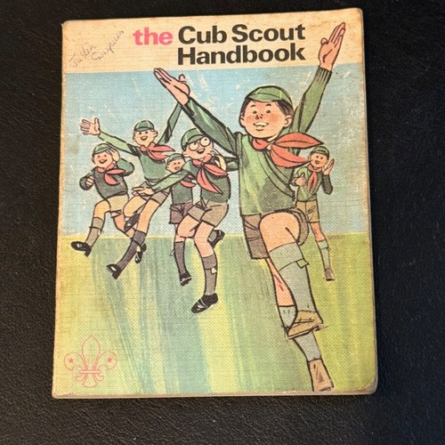 1970s vintage the - 1970s, cub