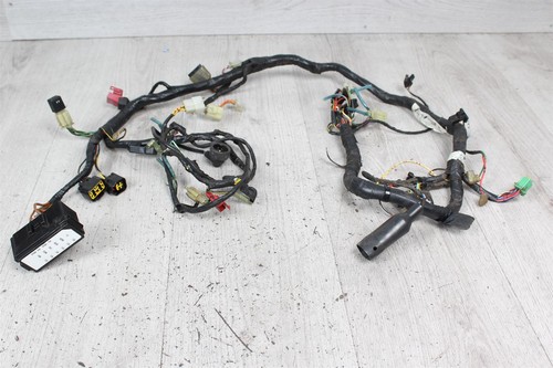 Wirroom main cable - tree,