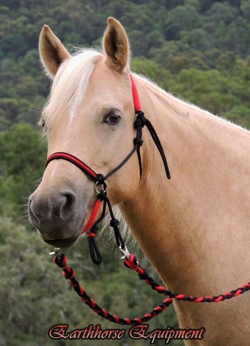 Bitless bridle adjustable - bitless,