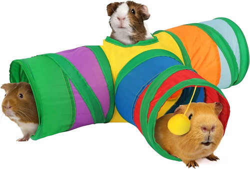Hylyun guinea pig tunnel - hylyun,