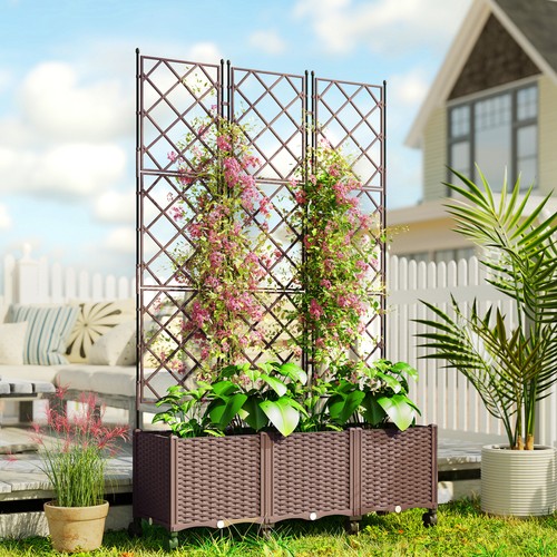 Raised garden bed with - raised,