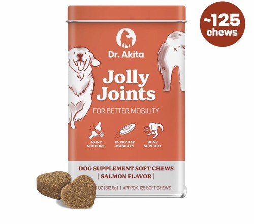 Akita dogs jolly joints - dogs,