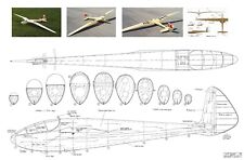 DFS Reiher scale glider plan