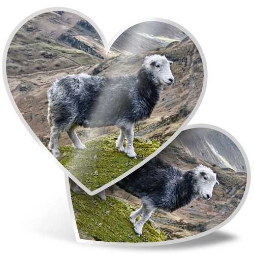 Heart stickers cm - 15,