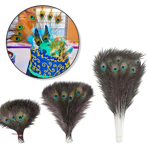 Natural peacock feathers - peacock,