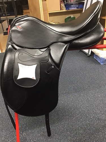 Kieffer lusitano dressage - kieffer,