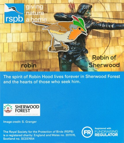 Rspb pin badge - rspb,