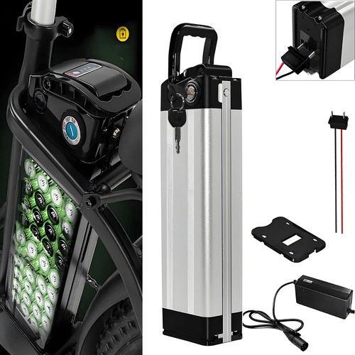 Silverfish 48v 36v 10ah - silverfish,