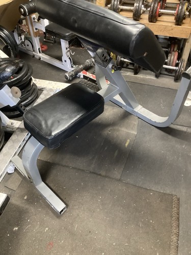 Seated preacher curl - seated,
