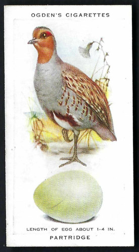 Ogdens british birds their - -,