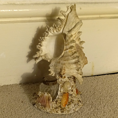 Nautical seashell decorative - seashell,