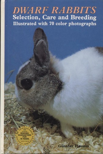 Dwarf rabbits selection - dwarf, care