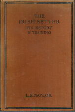 THE IRISH SETTER ITS HISTORY & TRAINING BY L E NAYLOR 1932 1ST EDITION