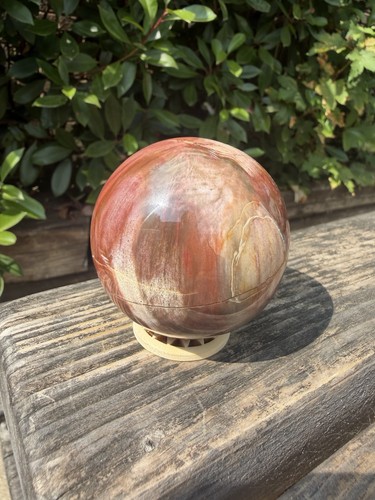 Petrified wood sphere - petrified,