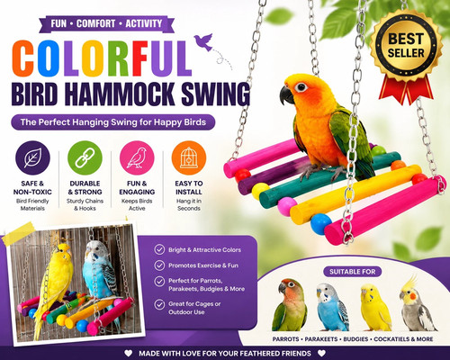 Pet bird parrot parakeet - bird,