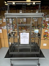 Parrot-Supplies Atlanta Play