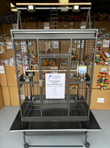 Parrot supplies atlanta play - parrot-supplies,