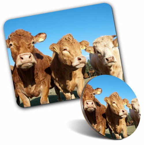 Mouse mat coaster set - set,