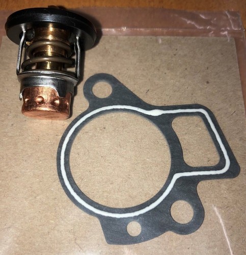 Thermostat gasket mercury - ~,