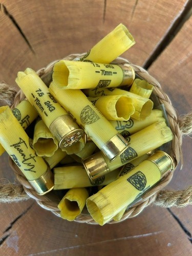 Spent shotgun cartridge cases - shotgun,