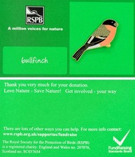 RSPB Pin Badge AMVfN Bullfinch