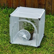 Bugdorm 44545f insect rearing - insect,