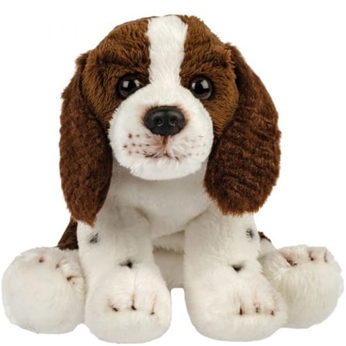 Springer spaniel plush - spaniel, soft