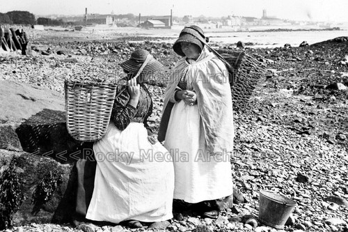 Wwq social history cornish - wwq-15,
