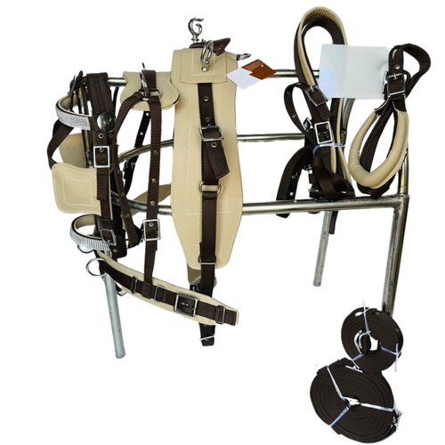 Dual tone beige - dual,