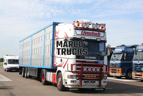Truck photo scania cattle - scania,