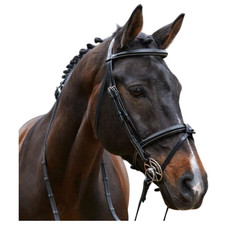 John Whitaker Whitaker