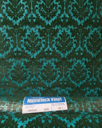 1970s vintage kingfisher - x1,