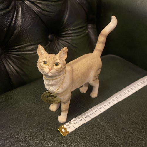 Cream white striped tabby - cream,