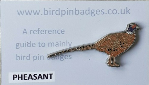 Pheasant bird pin badge - pheasant, not