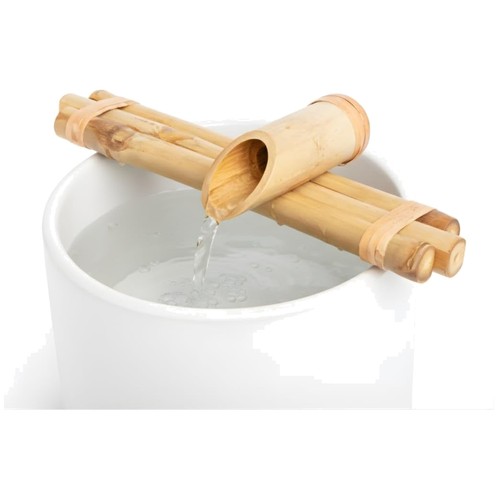 Tam vong bamboo - bamboo,